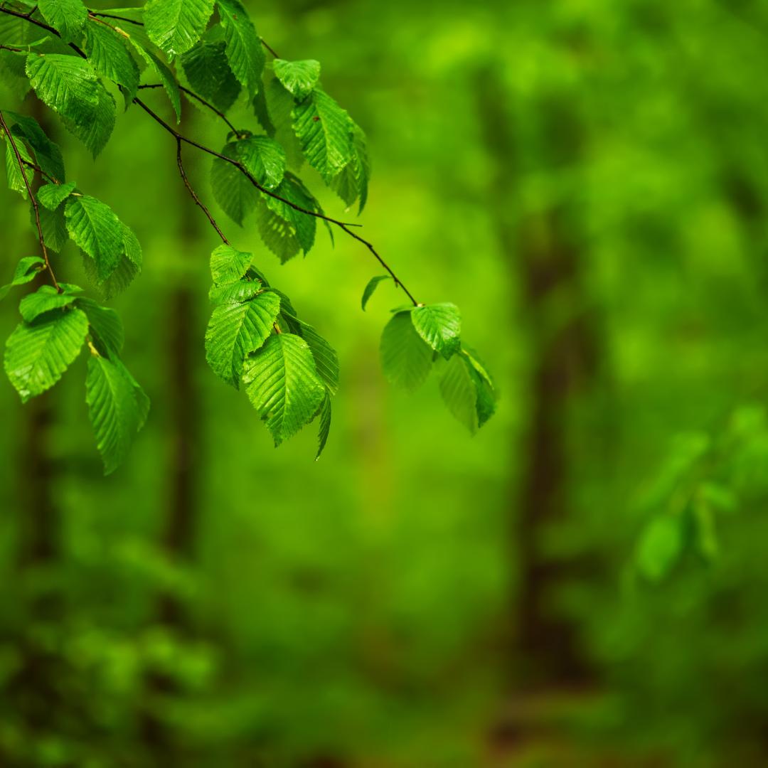 Raus aus virtuellen Welten, rein in die Natur!