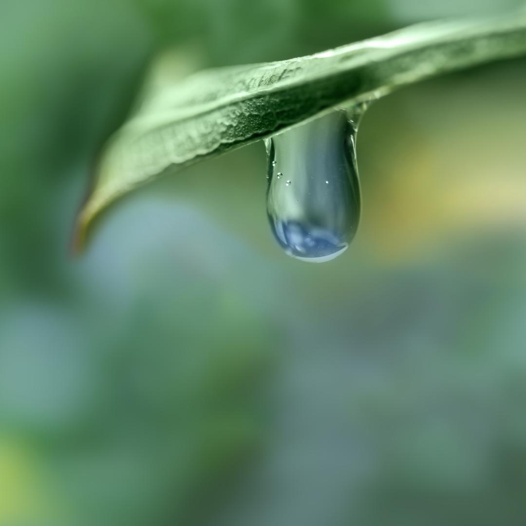 Wasserknappheit in Österreichs Regionen