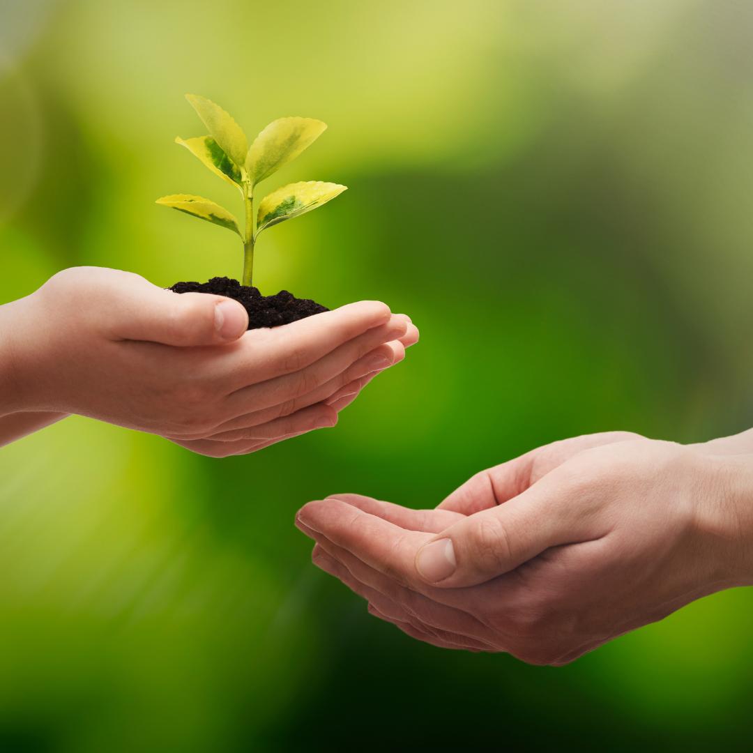 CliA – Österreichischer Staatspreis für Klimawandelanpassung – zwölf Finalisten stehen fest