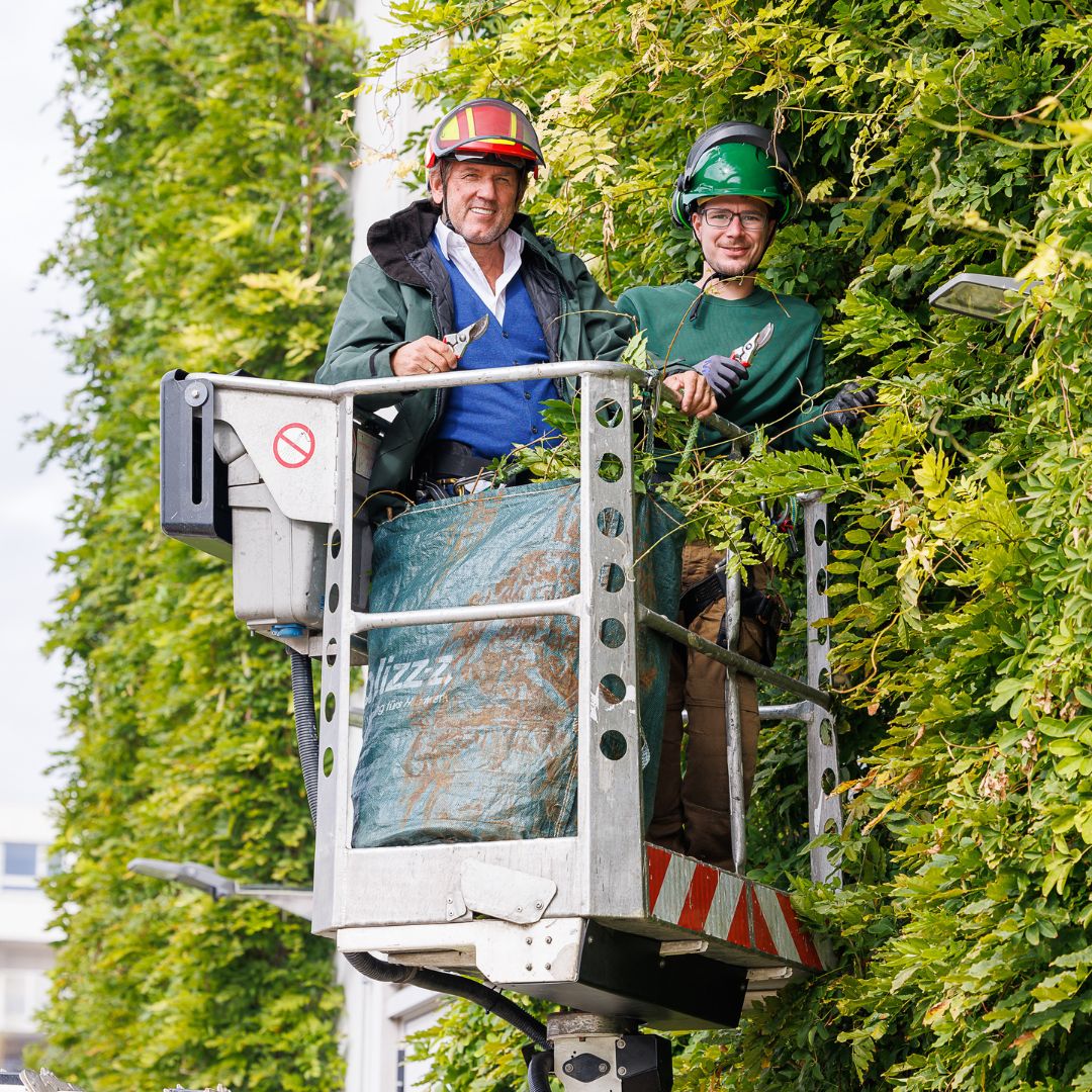 New apprenticeship as a climate gardener from 2025