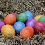 Eierkrise zu Ostern: Hühner leiden unter unserer Eierliebe
